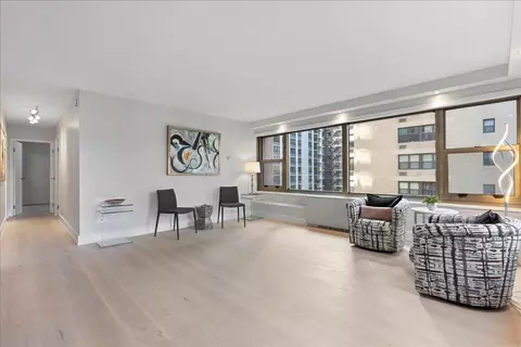 247 E Chestnut St #802, Chicago, IL 60611 photo 6