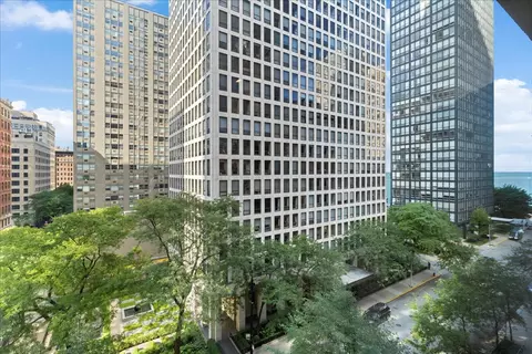 247 E Chestnut St #802, Chicago, IL 60611 photo 12