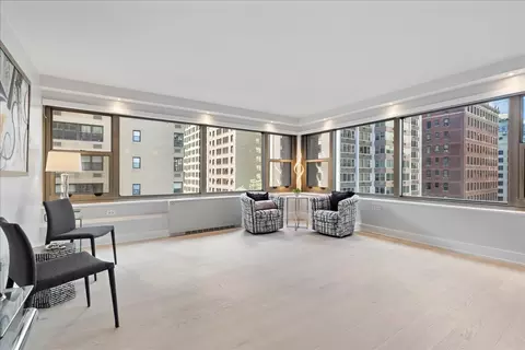247 E Chestnut St #802, Chicago, IL 60611 photo 4