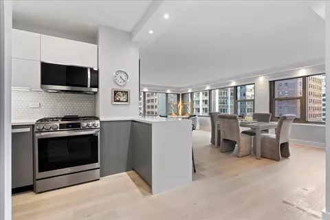 247 E Chestnut St #802, Chicago, IL 60611 photo 5