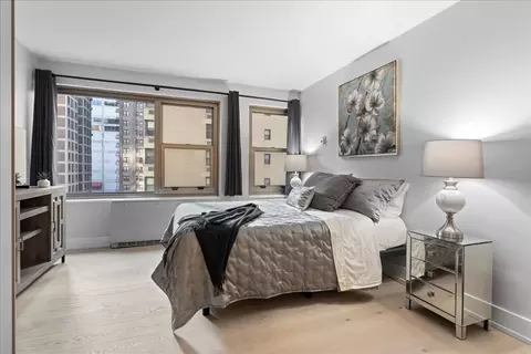 247 E Chestnut St #802, Chicago, IL 60611 photo 7