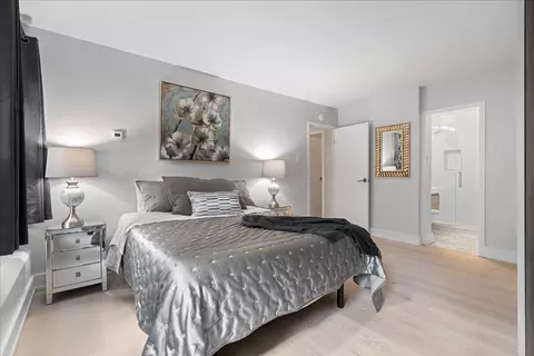 247 E Chestnut St #802, Chicago, IL 60611 photo 8