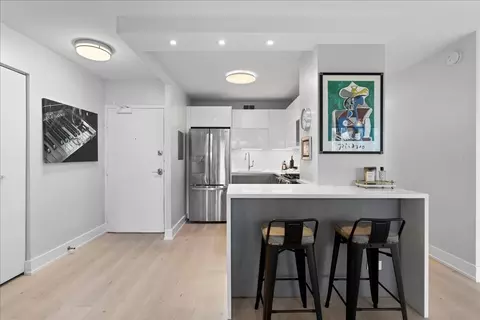 247 E Chestnut St #802, Chicago, IL 60611 photo 3