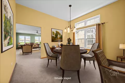 21600 W Larch Dr, Plainfield, IL 60544 photo 11