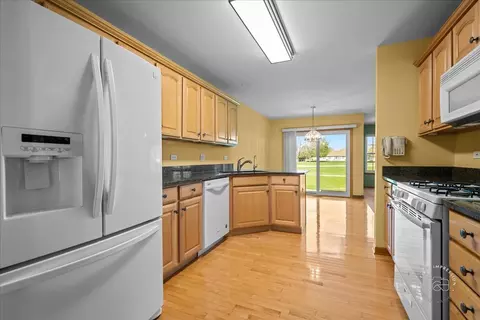 21600 W Larch Dr, Plainfield, IL 60544 photo 14