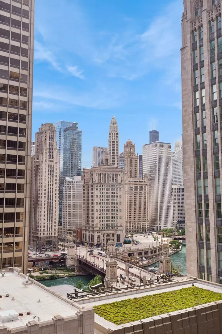 View/Area - 435 N Michigan Ave #1112, Chicago, IL 60611 photo 4 of 7