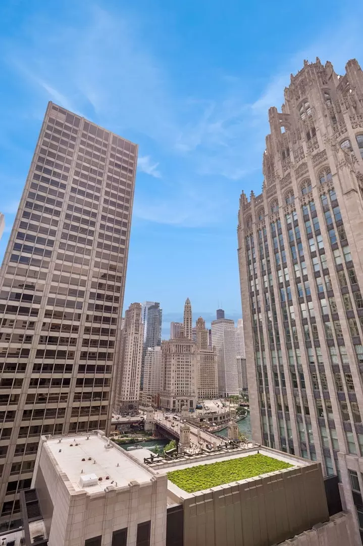 View/Area - 435 N Michigan Ave #1112, Chicago, IL 60611 photo 3 of 7