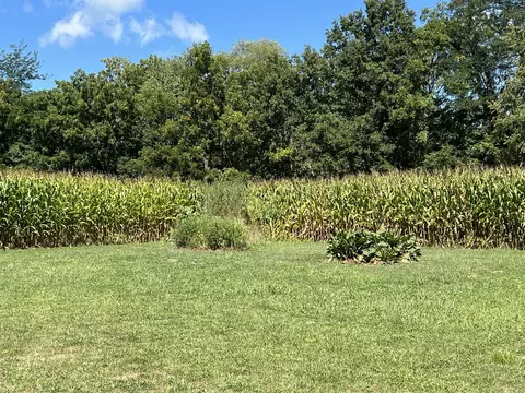 Exterior - 16701 Parnell Rd, Dewitt, IL 61735 photo 2 of 22
