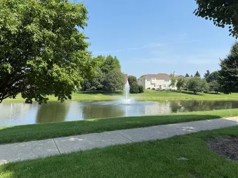 6 Greyshire Ct, Algonquin, IL 60102 photo 40