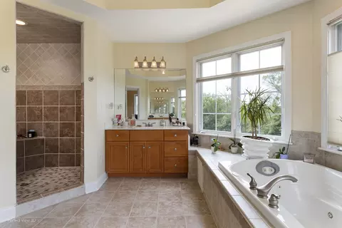 Bath - 7534 W Pennington Ln, Monee, IL 60449 photo 3 of 6