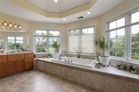 Bath - 7534 W Pennington Ln, Monee, IL 60449 photo 2 of 6