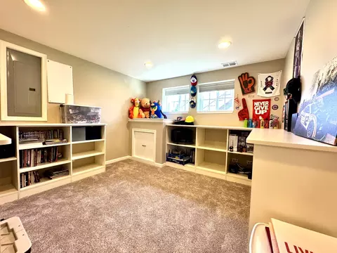 12903 Cypress Ln, Plainfield, IL 60585 photo 23