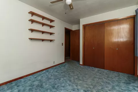 612 Oak St, Delavan, IL 61734 photo 30