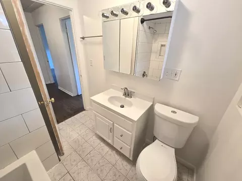 Bath - 901 E Krage Dr, Addison, IL 60101 photo 3 of 3