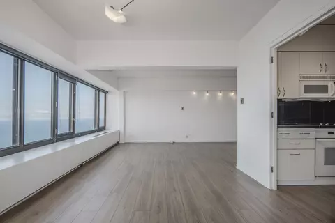 175 E Delaware Pl #8903, Chicago, IL 60611 photo 10