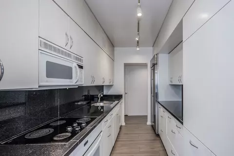 175 E Delaware Pl #8903, Chicago, IL 60611 photo 14