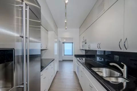 175 E Delaware Pl #8903, Chicago, IL 60611 photo 15