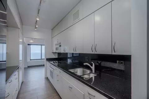 175 E Delaware Pl #8903, Chicago, IL 60611 photo 16
