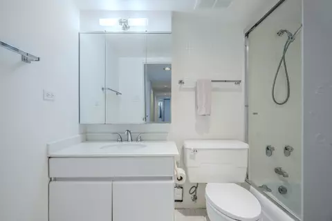 175 E Delaware Pl #8903, Chicago, IL 60611 photo 29