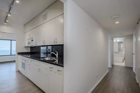 175 E Delaware Pl #8903, Chicago, IL 60611 photo 28