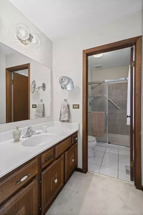3666 Whispering Trails Dr, Hoffman Estates, IL 60192 photo 16