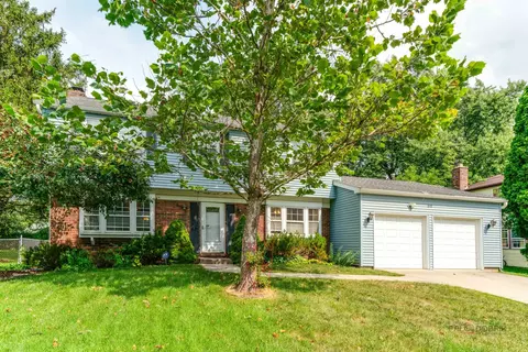 610 Checker Dr, Buffalo Grove, IL 60089