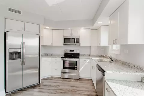 1660 E Thacker St #3B, Des Plaines, IL 60016 photo 9