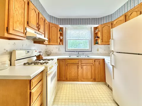 838 Cedar Ave, Elgin, IL 60120 photo 13
