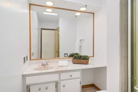 1355 Phoenix Dr, Des Plaines, IL 60018 photo 11