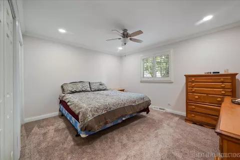 24106 W Pheasant Chase Dr, Plainfield, IL 60544 photo 19