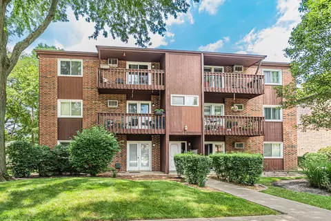 672 Daisy Ln #312, Roselle, IL 60172