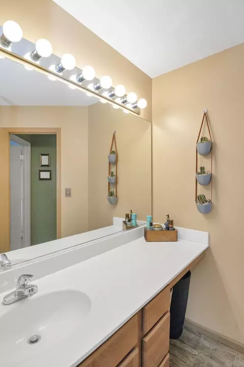 Bath - 2919 Discovery Dr, Plainfield, IL 60586 photo 5 of 5
