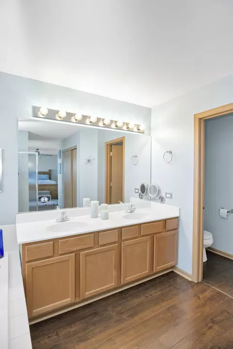 Bath - 2919 Discovery Dr, Plainfield, IL 60586 photo 3 of 5