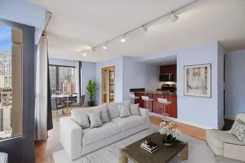 Other - 30 E Huron St #1702, Chicago, IL 60611 photo 2 of 11