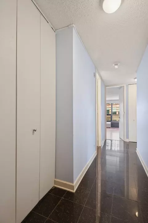 Entry Way - 30 E Huron St #1702, Chicago, IL 60611 photo 1 of 1