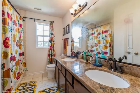 Bath - 3106 Hermes Dr, Olympia Fields, IL 60461 photo 3 of 3