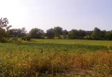 lot8 S 80th Ave, Monee, IL 60449