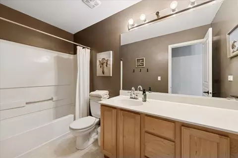 Bath - 24164 Norfolk Ln, Plainfield, IL 60585 photo 3 of 4
