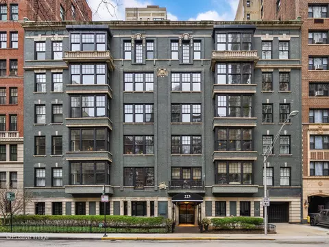 223 E Delaware Pl #5W, Chicago, IL 60611