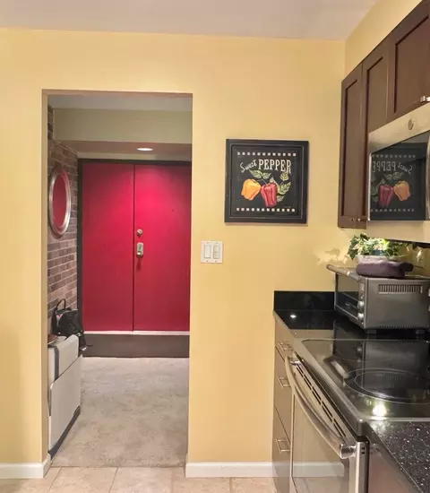 825 Pearson Ave #3E, Des Plaines, IL 60016 photo 11