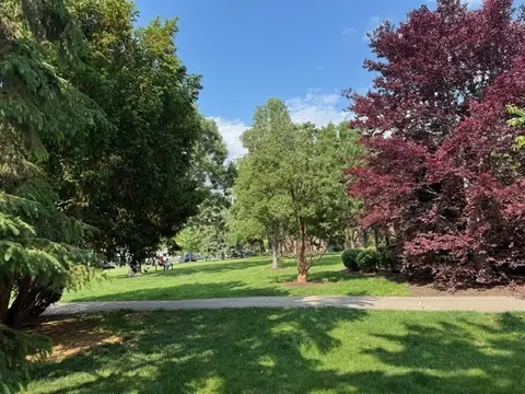 825 Pearson Ave #3E, Des Plaines, IL 60016 photo 27