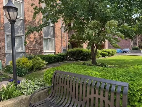 825 Pearson Ave #3E, Des Plaines, IL 60016 photo 28