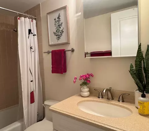 825 Pearson Ave #3E, Des Plaines, IL 60016 photo 16