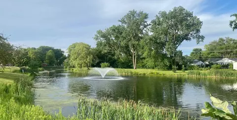 825 Pearson Ave #3E, Des Plaines, IL 60016 photo 48