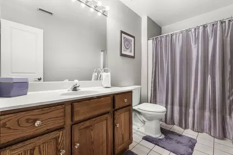 Bath - 322 Orchard Ln, Beecher, IL 60401 photo 3 of 3
