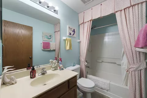 Bath - 1448 Sedge Pass Ln, Minooka, IL 60447 photo 2 of 4