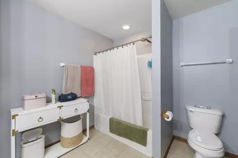 Bath - 1448 Sedge Pass Ln, Minooka, IL 60447 photo 4 of 4