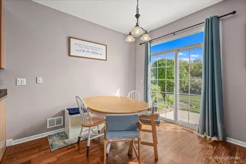311 Katrina Ln, Algonquin, IL 60102 photo 8