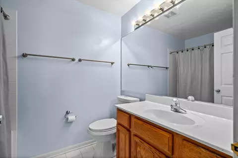 Bath - 545 Pinebrook Dr, Bolingbrook, IL 60490 photo 2 of 3