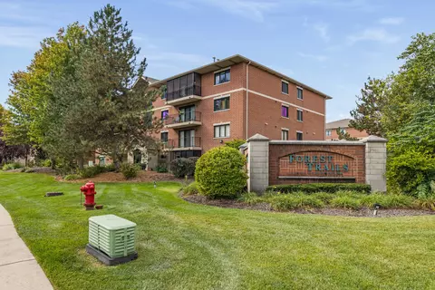 6820 W Winding Trl W #101, Oak Forest, IL 60452